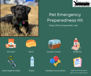 Pet Emergency Preparedness Kit