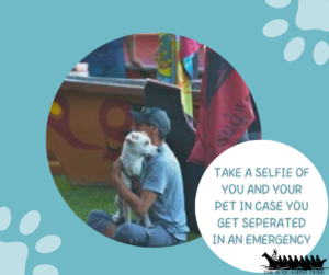 Take a selfie with you and your pet